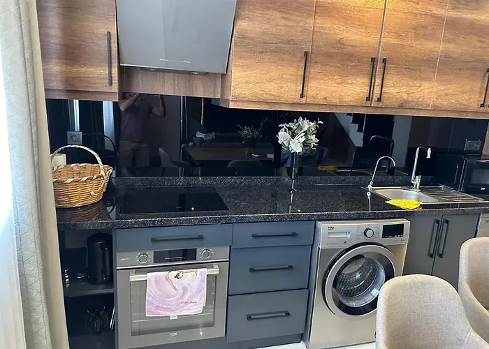 公寓 Serenity Duplex 阿拉尼亚